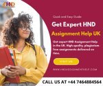 HND Assignment Help - 3