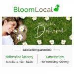 BloomLocal - 1